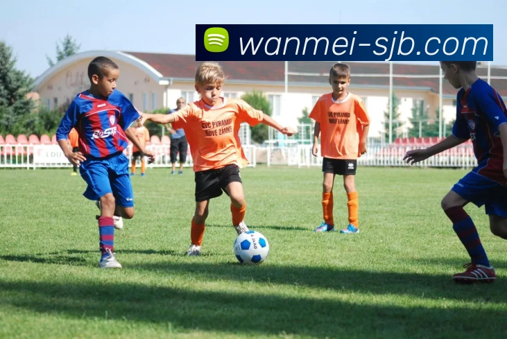 对战数据统计