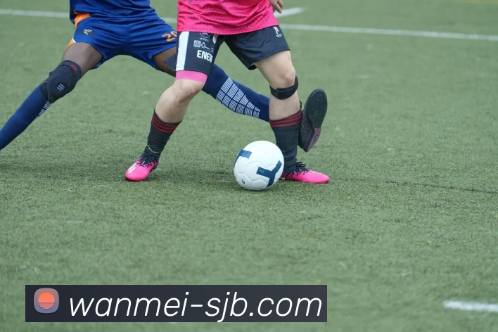 完美世界，完美世界，完美世界官网，完美世界电竞平台，完美世界APPAPP 封面图